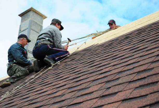 Best Gutter Installation and Roofing  in Sudan, TX